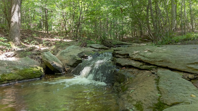 299 Scott Ln, Pelzer, SC 29669 - photo 45