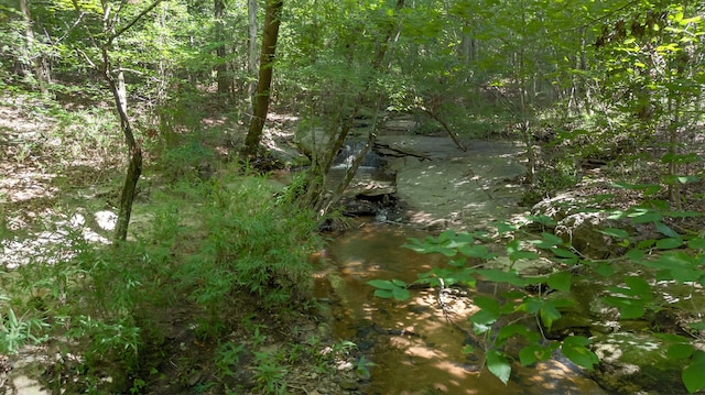 299 Scott Ln, Pelzer, SC 29669 - photo 46
