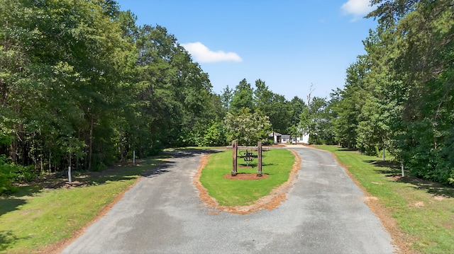 299 Scott Ln, Pelzer, SC 29669 - photo 47