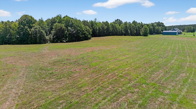 299 Scott Ln, Pelzer, SC 29669 - photo 49