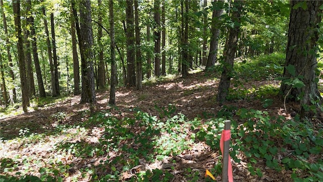 LOT127 Longwood Dr, Seneca, SC 29672 - photo 4
