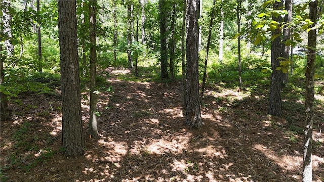 LOT127 Longwood Dr, Seneca, SC 29672 - photo 5