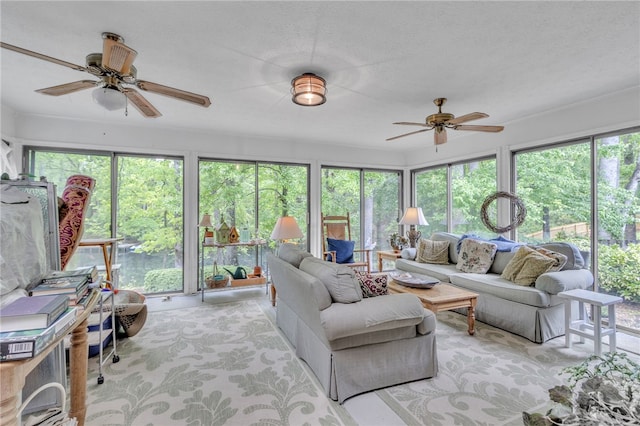303 Asbury Cir, Easley, SC 29640 - photo 11