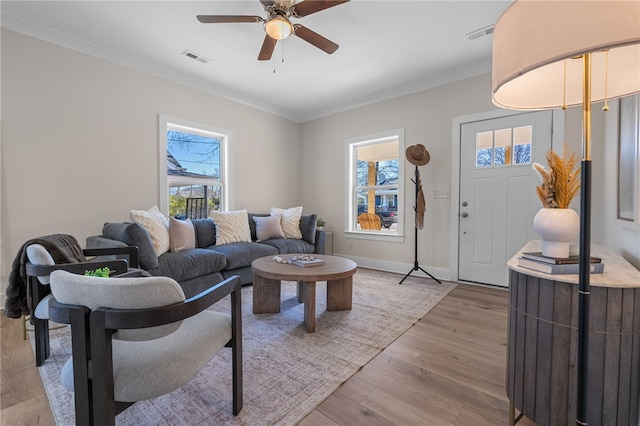 14 Arden St Unit A & B, Greenville, SC 29607 - photo 8