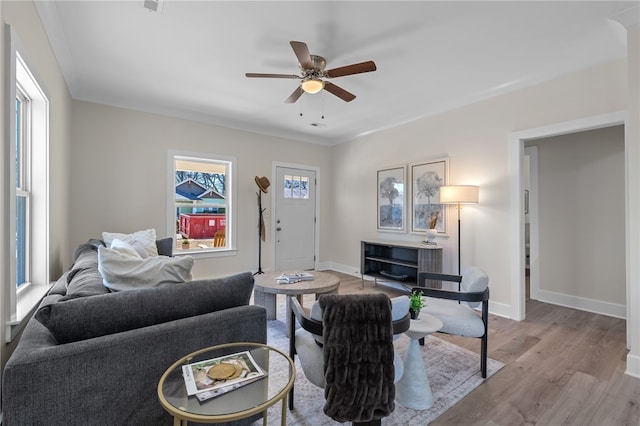14 Arden St Unit A & B, Greenville, SC 29607 - photo 9