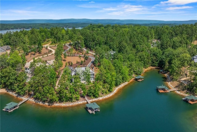 111 Promontory Ct, Six Mile, SC 29682 - photo 36