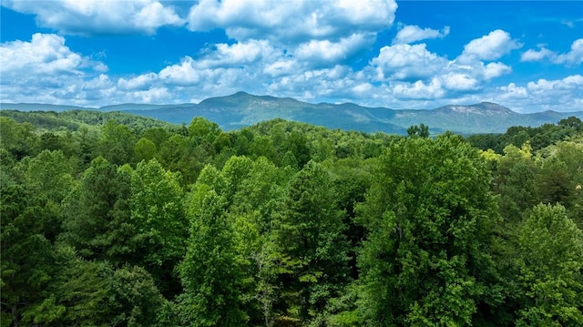 00 Hidden Valley Rd, Pickens, SC 29671 - photo 19