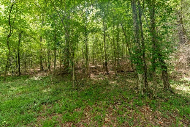 00 Hidden Valley Rd, Pickens, SC 29671 - photo 7