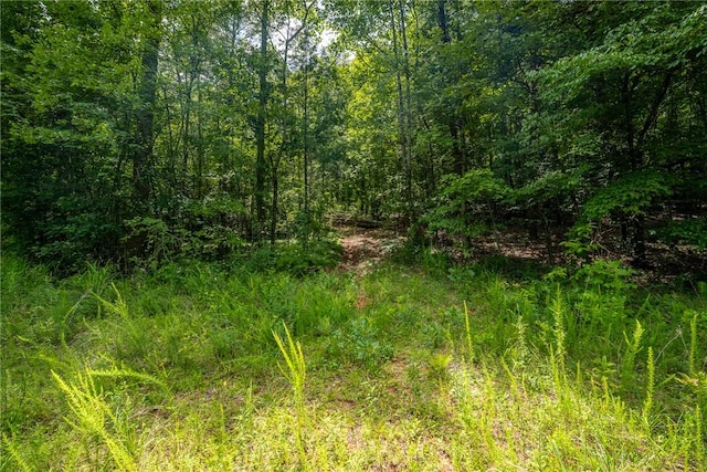 00 Hidden Valley Rd, Pickens, SC 29671 - photo 9