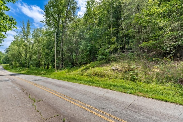 00 Hidden Valley Rd, Pickens, SC 29671 - photo 12
