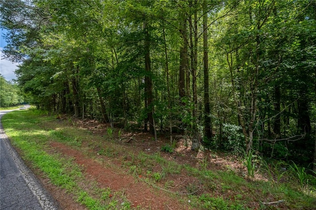 00 Hidden Valley Rd, Pickens, SC 29671 - photo 14