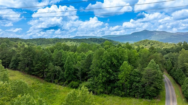 00 Hidden Valley Rd, Pickens, SC 29671 - photo 16