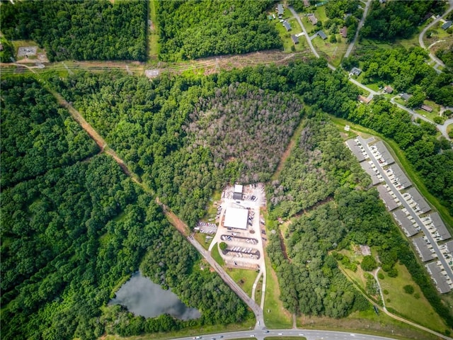 28.32ACRES Clemson Blvd With Sewer, Unit With Sewer, Seneca, SC 29678 - photo 2