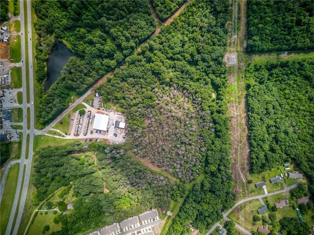28.32ACRES Clemson Blvd With Sewer, Unit With Sewer, Seneca, SC 29678 - photo 4