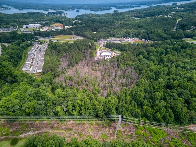 28.32ACRES Clemson Blvd With Sewer, Unit With Sewer, Seneca, SC 29678 - photo 6