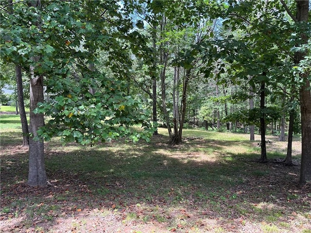 LOT4 Stokes Dr, Seneca, SC 29672 - photo 1
