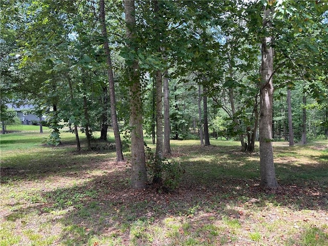 LOT4 Stokes Dr, Seneca, SC 29672 - photo 2