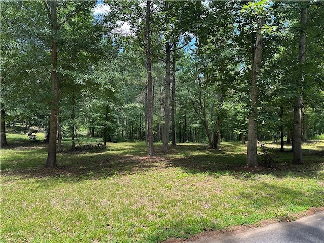 LOT4 Stokes Dr, Seneca, SC 29672 - photo 3