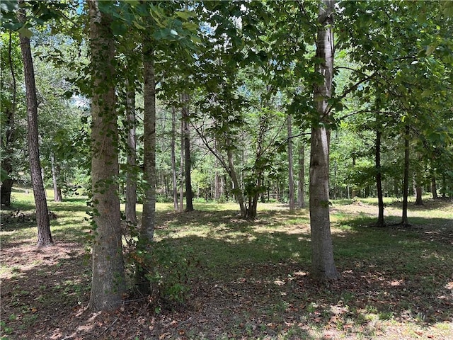 LOT4 Stokes Dr, Seneca, SC 29672 - photo 4