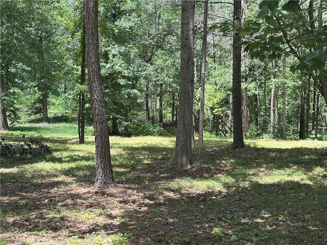 LOT4 Stokes Dr, Seneca, SC 29672 - photo 5