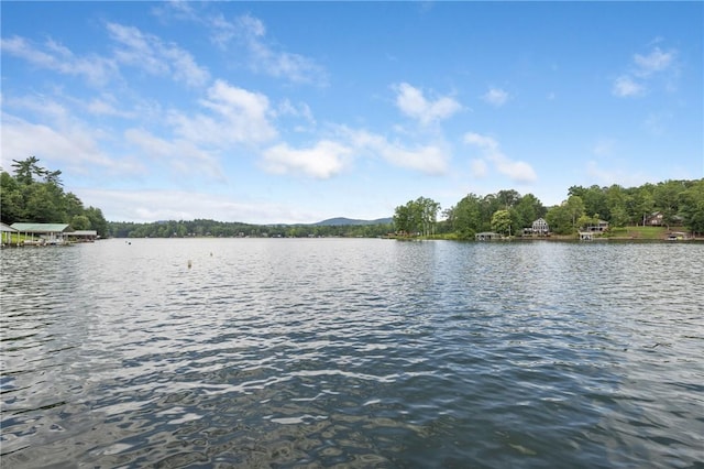 325 Time Out Pl, Tamassee, SC 29686 - photo 27