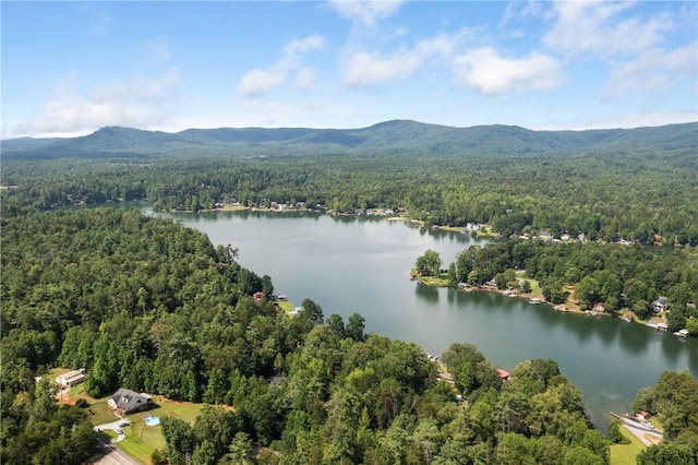 325 Time Out Pl, Tamassee, SC 29686 - photo 33