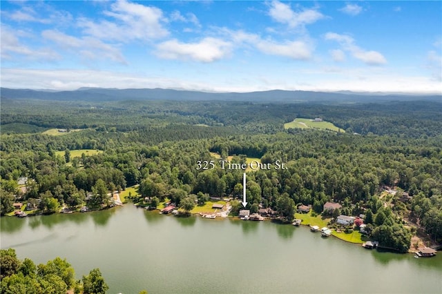 325 Time Out Pl, Tamassee, SC 29686 - photo 34