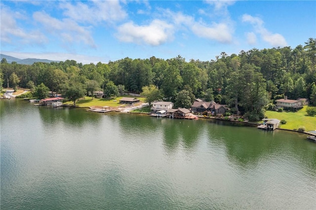 325 Time Out Pl, Tamassee, SC 29686 - photo 35