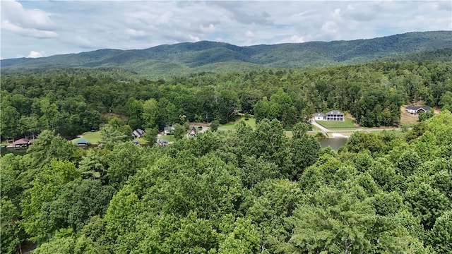 533 Sleepy Hollow Ct, Tamassee, SC 29686 - photo 18