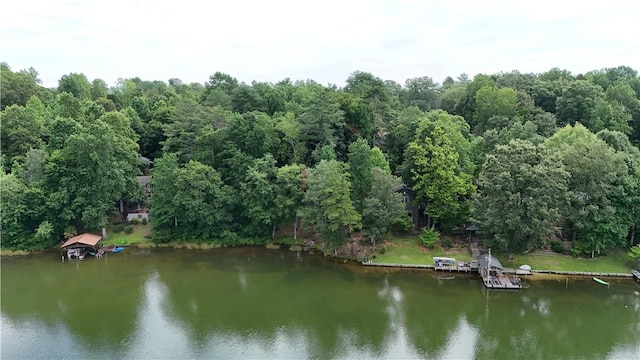 533 Sleepy Hollow Ct, Tamassee, SC 29686 - photo 19