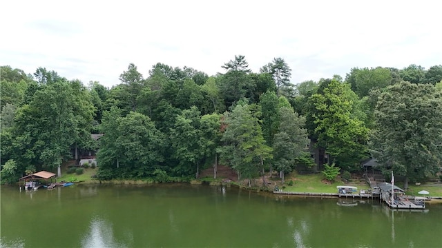 533 Sleepy Hollow Ct, Tamassee, SC 29686 - photo 20