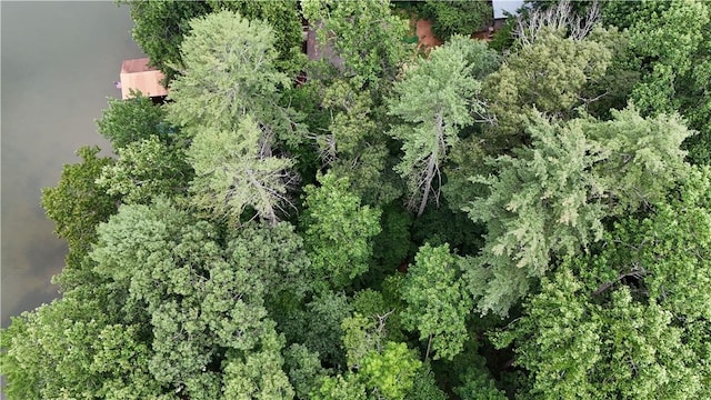 533 Sleepy Hollow Ct, Tamassee, SC 29686 - photo 21