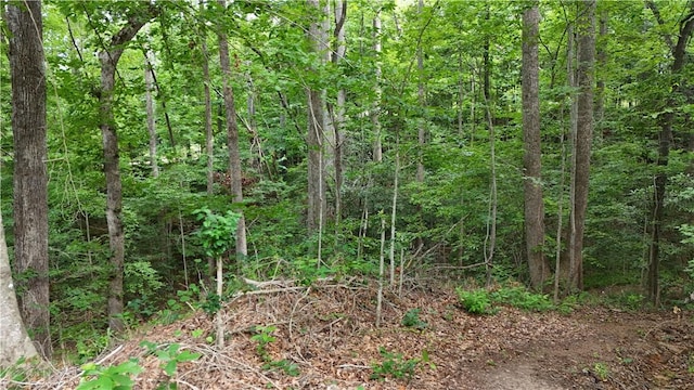 533 Sleepy Hollow Ct, Tamassee, SC 29686 - photo 5