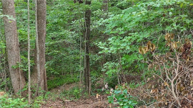 533 Sleepy Hollow Ct, Tamassee, SC 29686 - photo 7