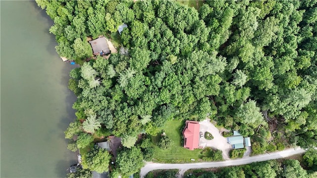 533 Sleepy Hollow Ct, Tamassee, SC 29686 - photo 8