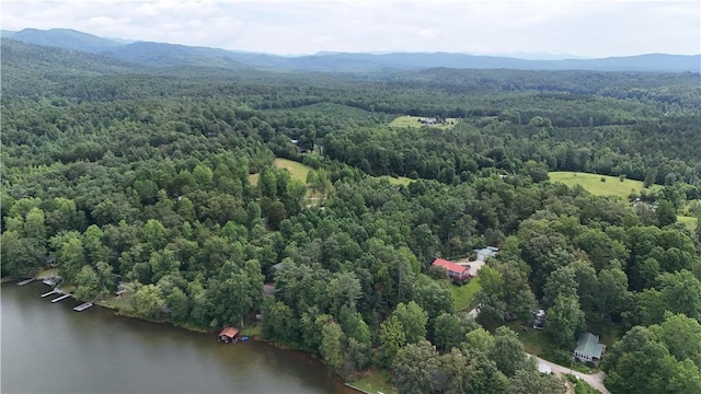 533 Sleepy Hollow Ct, Tamassee, SC 29686 - photo 11