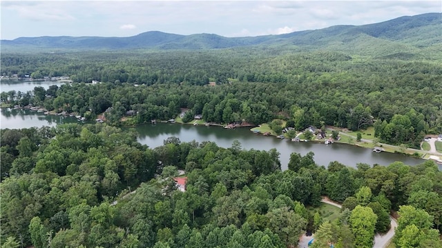 533 Sleepy Hollow Ct, Tamassee, SC 29686 - photo 14