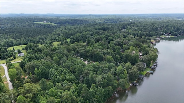 533 Sleepy Hollow Ct, Tamassee, SC 29686 - photo 15