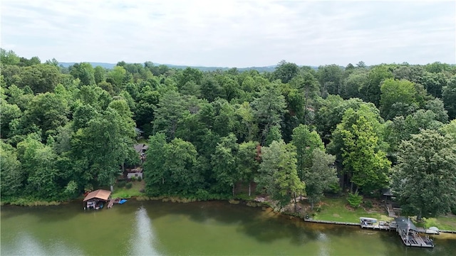 533 Sleepy Hollow Ct, Tamassee, SC 29686 - photo 16