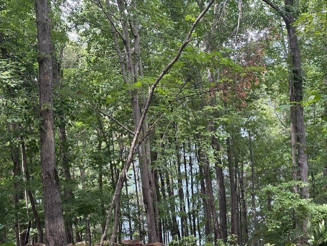 105 Great Camp Ct, Sunset, SC 29685 - photo 1