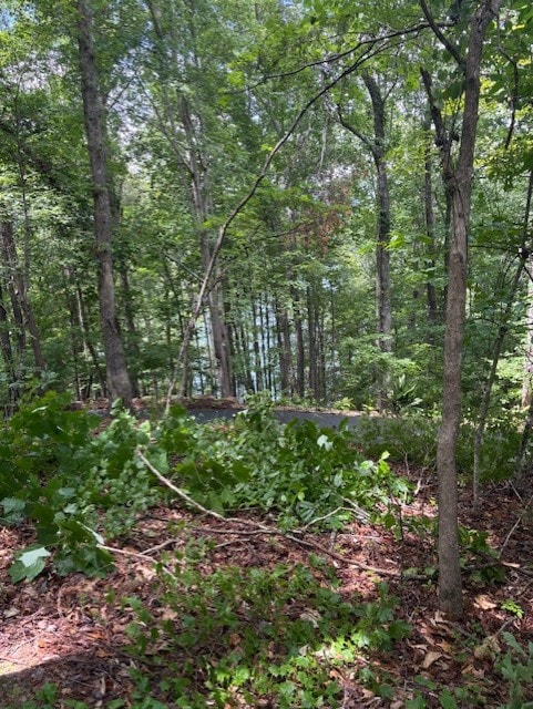 105 Great Camp Ct, Sunset, SC 29685 - photo 2