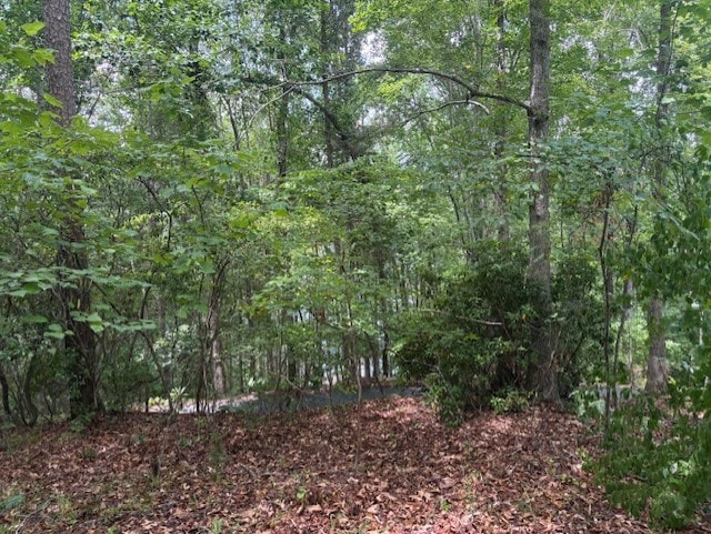 105 Great Camp Ct, Sunset, SC 29685 - photo 3