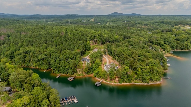 414 Sue Craig Rd, Six Mile, SC 29682 - photo 34