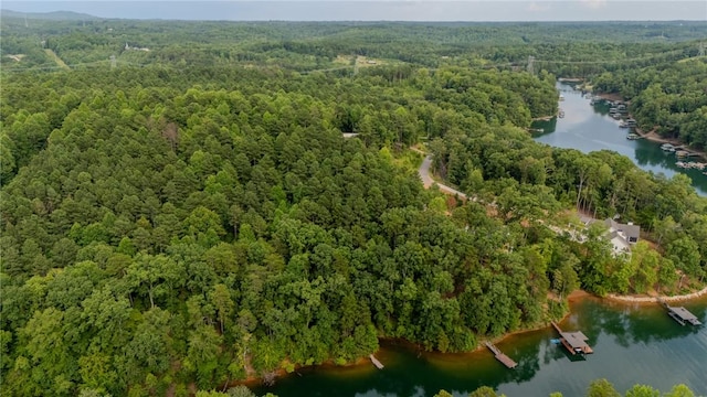 414 Sue Craig Rd, Six Mile, SC 29682 - photo 36