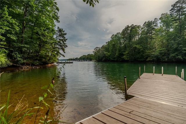 414 Sue Craig Rd, Six Mile, SC 29682 - photo 48