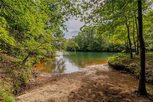 414 Sue Craig Rd, Six Mile, SC 29682 - photo 49