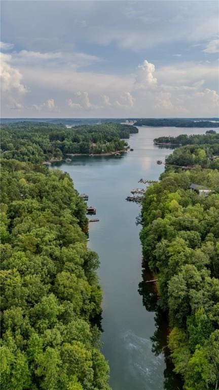 414 Sue Craig Rd, Six Mile, SC 29682 - photo 50