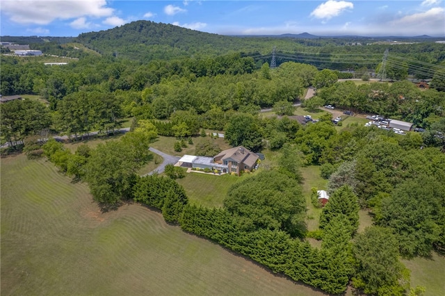 533 Amsterdam Rd, Liberty, SC 29657 - photo 37