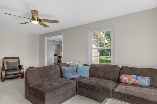 533 Amsterdam Rd, Liberty, SC 29657 - photo 7