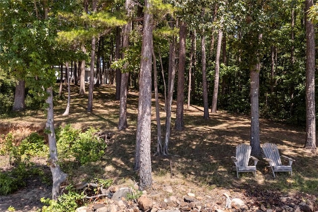 255 Joann Cir, Fair Play, SC 29643 - photo 47